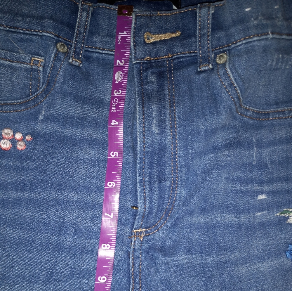 Express Embroidered Jeans - Picture 9 of 13